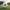 Blue Lock Black Soccer Ball